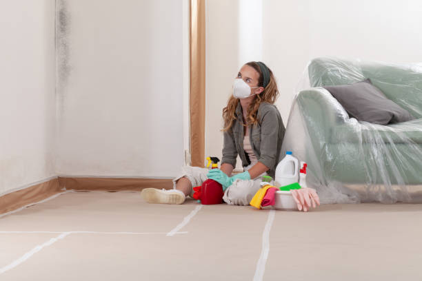 Reliable Mold Remediation contractor in Casnovia, MI by WQB Mold Removal